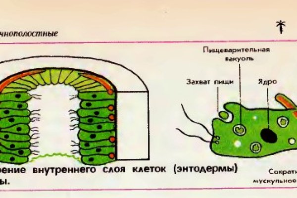 Магазин kraken даркнет