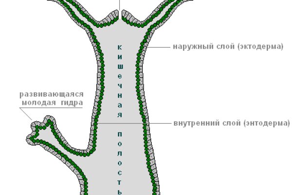 Как найти кракен в торе