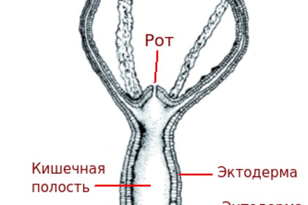 Kraken 12at сайт